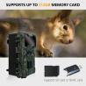Buy cheap Outdoor hunting camera KW696 dual-lens 30MP waterproof IP67 1080p night vision up to 512GB storage no-glow trail camera from wholesalers