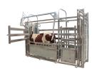 Galvanized Steel Fence Cow Ring Hot Galvanized Livestock Fencing Squeeze Chute