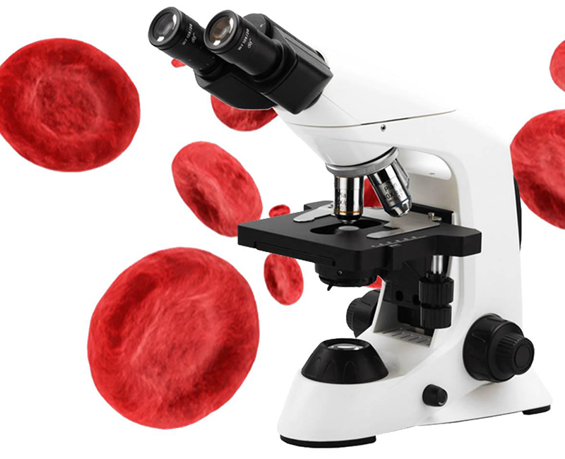 Student 1000X Compound Optical Microscope Laboratory Capillary Microscope