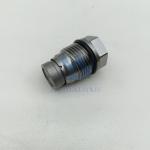 Mechinery Construction Relief Valve 1110010028 High Pressure Limiting Valve