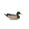 Buy cheap Outdoor Floating Hunting Duck Decoy Mallard Drake / Mallard Hen Decoys Real Like Size from wholesalers