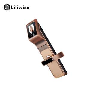 Wholesale Facial Recognition Electronic Front Door Lock With Key Fingerprint Password from china suppliers
