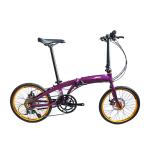 Full Shockingproof Frame Folding Bike 20" 9 Speed Crius Velocity-D Brake for