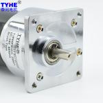 12v 24v 60w 70w Electric Dc Gear Motor For Amusement Equipment High Torque