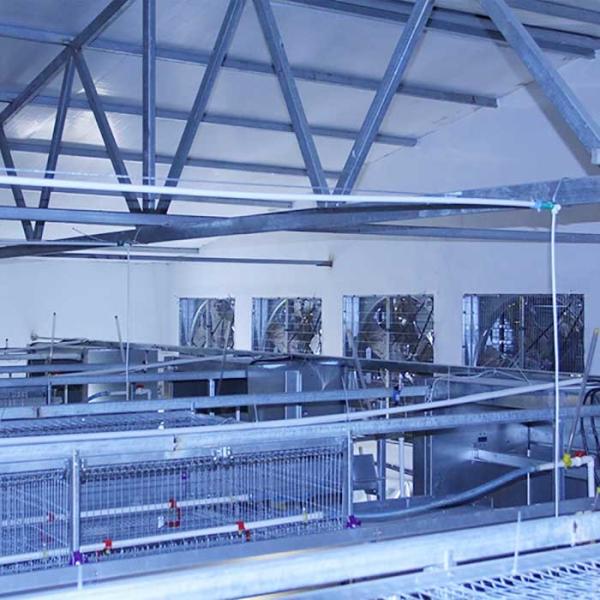 Buy cheap Battery Poultry Farming Equipment , Durable H Type 192 Baby Chicken Cage from wholesalers