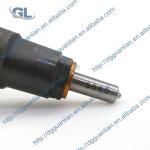 Original And New Diesel Fuel Injector 295050-0960 2950500960 12640381 For GM /