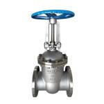 Stainless Steel 304 DN40 Flanged Check Valve with Lift Design and ISO9001
