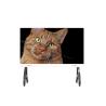 Buy cheap Low Heat Dissipation Conference Room LED Display SMD1212 1.5mm Pixel Pitch from wholesalers