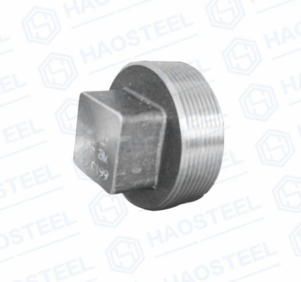 Buy cheap ANSI Industrial Pipe Forged Socket Plug ANSI B16.9 Equal Shape from wholesalers