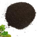 Cow Dung Organic Fertilizer Production Line Full Auto 10t/H organic fertilizer