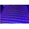 Buy cheap IP65 LED Wall Wash Light from wholesalers