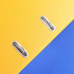 Customized Logo FC/A4 Office Lever Vaulted Folders for Professional File