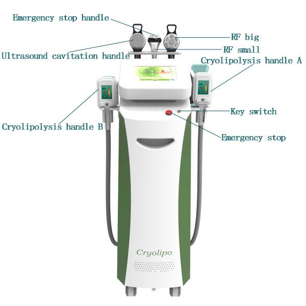 Buy cheap CE approval 3 years warranty vertical cryolipolysis machine C325 from wholesalers