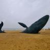 Buy cheap Large Size Forged Whale Bronze Sculpture from wholesalers