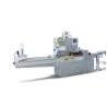 Buy cheap High Speed Capsule Carton Packing Machine , Pillow Packing Machine For Pharmaceutical from wholesalers