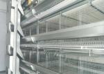 Chicken Egg Livestock Farming Equipment Farmer Automatic Poultry Equipment