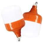 Rechargeable DC Emergency LED Bulb Light For Fishing Camping With Battery