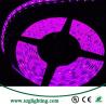 Buy cheap Waterproof LED SMD 300LED 5M Flexible Light Strip 12V 2A 24W 60LED/M from wholesalers