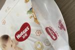 Multifunctions Euro Bag Making Machine Bio Carry Bag LDPE Film 15kw