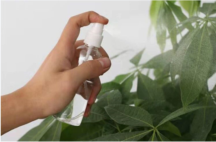 30ml 60ml 100ml refillable alcohol clear transparent Empty Plastic Spray Bottles PET Spray Bottle With Fine Mist Sprayer