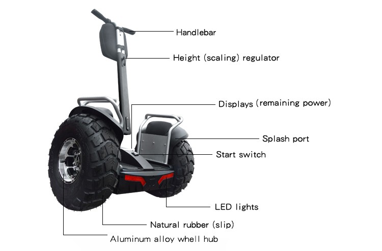Electric Scooter