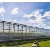 Buy cheap Anti-Drip Fogging Hydroponic Seedling Structure Perfect for Customer Requirements from wholesalers