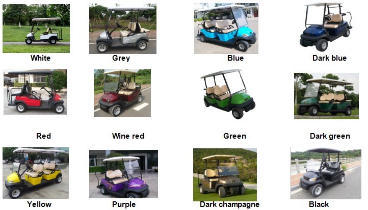 Multipurpose 4 Passenger Club Car Electric Golf Buggy With Rear PP Plastic Cargo Box