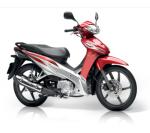 2022 Cub Motorcycle Super Fashion Cub 110CC ZS YB Engine Sirius RC Wholesale