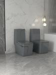 Siphon Flushing Button Sanitary Ware Toilet One Piece P Trap S Trap