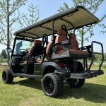 Brand New Golf Cart 4 Wheel Electric Lithium Battery Scooter Fashion Popular
