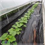 PP Woven 4mm Plastic Landscape Fabric HDPE Anti Weed Gardening Mat