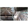 Buy cheap High Productivity Layer Farming Cage , Low Disease rate Wire Poultry Cages from wholesalers
