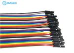 20cm 40 Pin Rainbow Ribbon Cable Female To Female Dupont Ul2651 28 Awg Flat