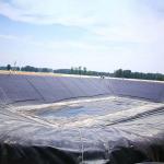High Tensile Strength 1.5mm HDPE Geomembrane Liner for Landfill Dam Fish Farm