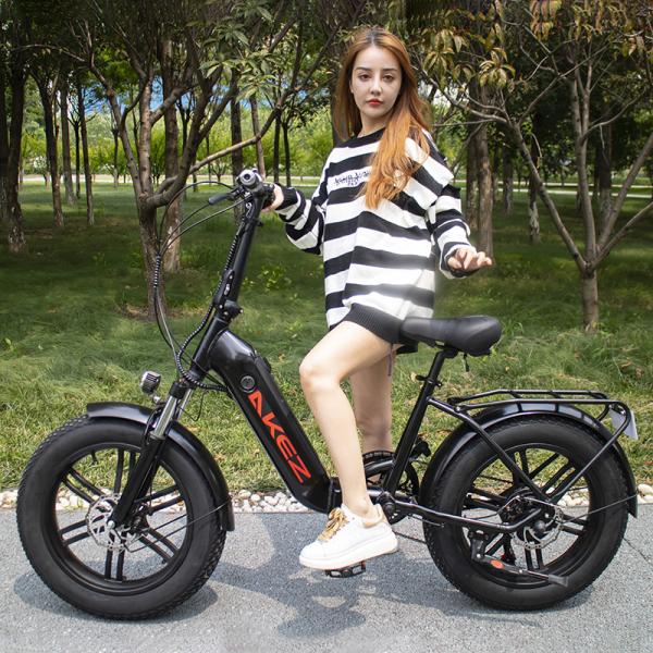 Buy cheap Led Display 30-50Km/H Lithium Battery Magnesium Alloy Soft Tail Frame Electric Bicycle from wholesalers