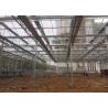 Buy cheap Agricultural Glass Greenhouse For Tomato Lettuce And Strawberry Growing from wholesalers