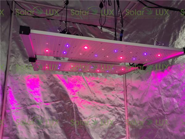 Buy cheap 650Watt UV Channel LED Grow Panel Light from wholesalers