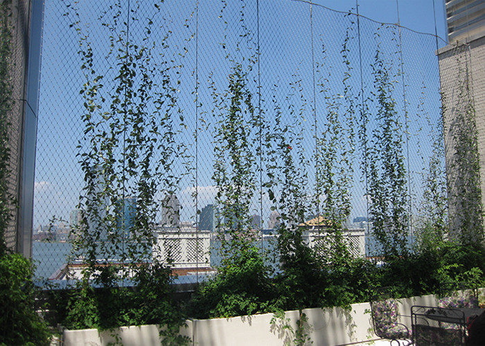 304 316 Wire Rope Mesh Botanical Garden Trellis For Climbing Plants Outdoors