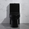 Buy cheap Black One Piece Elongated Toilets 1.6 Gpf Siphon Jet Toilet Flushing Systems from wholesalers