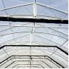 Buy cheap Agriculture Blackout Light Deprivation Greenhouse Fully Automated from wholesalers