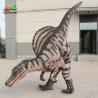Buy cheap Cosplay Animatronic Spinosaurus Dinosaur Costume For Amusement Park Attraction from wholesalers