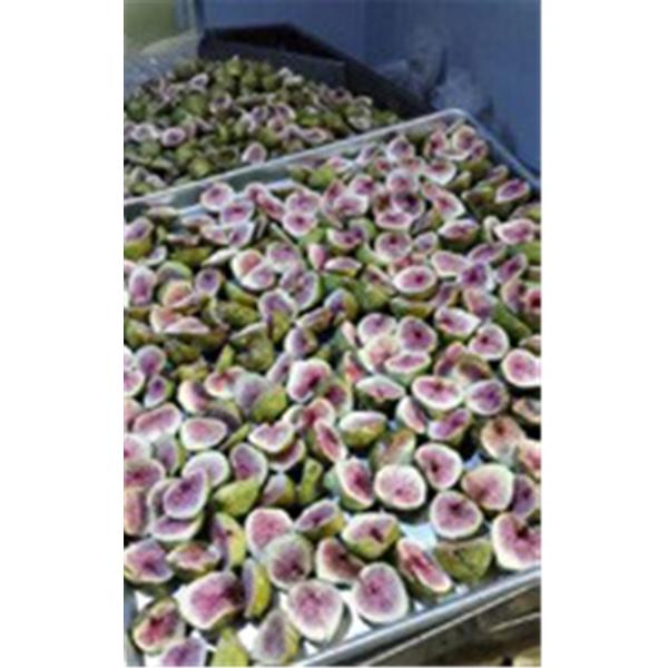 Fruits Vegetables 10m2 Vacuum Freeze Drying Machine