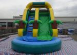 Amusement Inflatable Water Slide PVC Tarpaulin For Kids Fun Inflatable Water