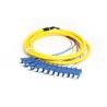 Buy cheap Single-Mode 12-Core Sc Fiber Optic Pigtail APC/UPC Bundled Pigtail G652D from wholesalers