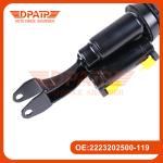 Front Air Suspension Strut for Mercedes-Benz Maybach 2223202500 2223202600