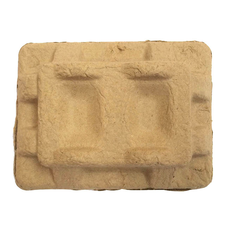 Recyclable Moulded Pulp Tray Biodegradable Thermoformed Paper Trays