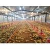 Buy cheap Broiler Poultry Prefab Houses Steel Structure Fully Automated Chicken Farming Equipment from wholesalers