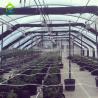 Buy cheap 4.5-6.5m High Automated Light Dep Greenhouse Medical Flowerhouse Springhouse Greenhouse from wholesalers