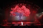 Transparent Holographic Projection Screen Polyamide Material 3D Hologram Show