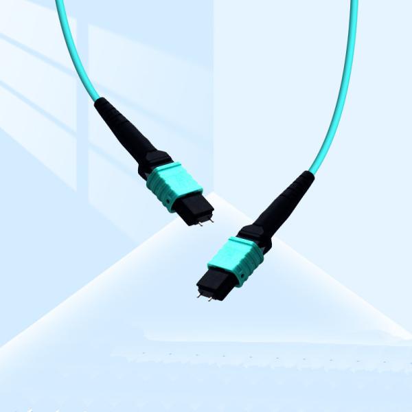 Quality Professional Factory 12 cores Fiber Optic Patchcord OM3 male MPO Fiber Optic Patch cord for sale